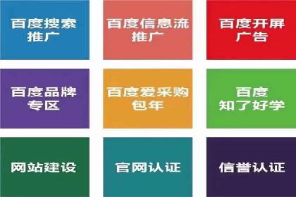 百度推广案例：品牌快速崛起的秘密